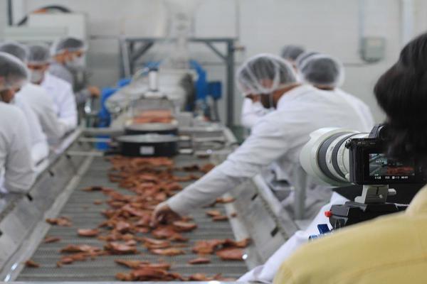 گوشت گیاهی تریشه