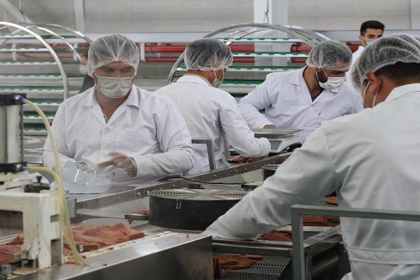 گوشت گیاهی تریشه