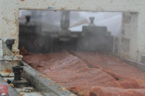 گوشت گیاهی تریشه